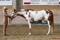 22-APHA HOTC_042